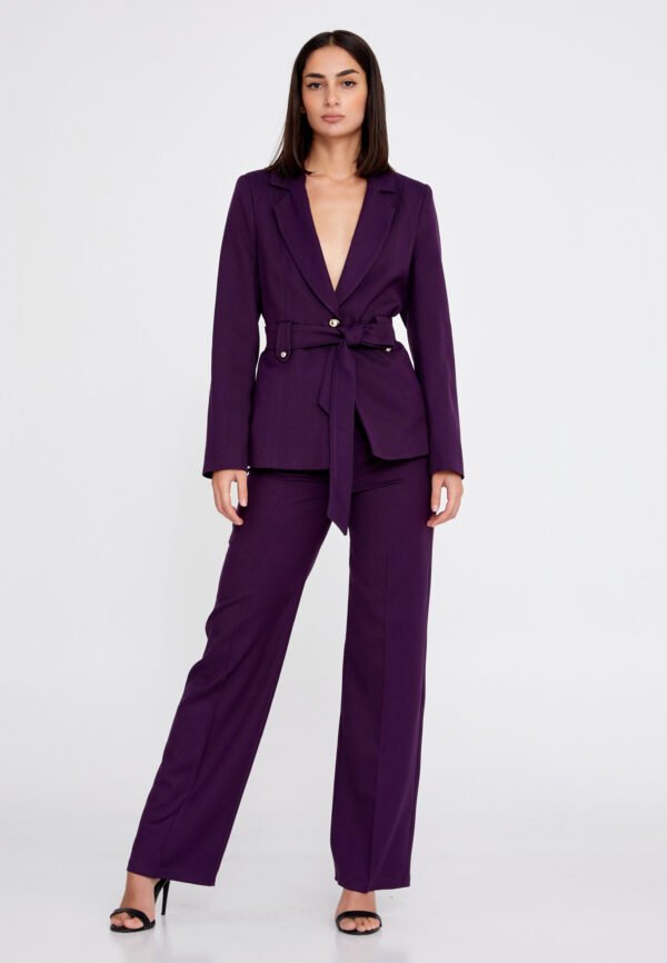 Long Sleeve Regular Purple Suit