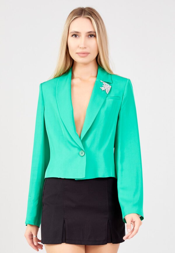 Long Sleeve Viscose Solid Color Regular Green Jacket
