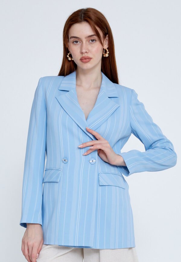 Long Sleeve Regular Blue Jacket
